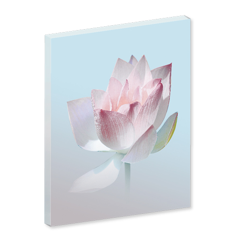 Wandbild Lotus, Bilder für das Wohlbefinden, Wellnessbilder, Energiebilder, Feng Shui bilder, Wanddeko, Leinwandbilder