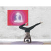 Wandbilder yoga, yogastudio, wandbild rot, wandbild pink, wanddeko, bilder yoga, yogabild, yoga taube, yoga Kapotasana
