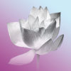 Bild Lotusblume, Mina, Wandbilder, Bilder online kaufen, Lotusblume, Bilder für das Wohlbefinden, Wellnessbilder, Energiebilder, Feng Shui bilder, Wanddeko, Leinwandbilder