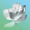 Bild Lotusblume, Mina, Wandbilder, Bilder online kaufen, Lotusblume, Bilder für das Wohlbefinden, Wellnessbilder, Energiebilder, Feng Shui bilder, Wanddeko, Leinwandbilder