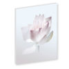 Wandbild Weiss, Lotusblume in zarten Farben, Leinwandbilder, Feng Shui Bilder, Lotus, Harmonie, Wanddeko, Tapete