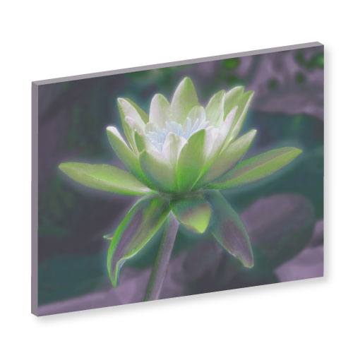 Wandbild Lotusblume, Wandbild für das Schlafzimmer, Lotusblume, Bilder für das Wohlbefinden, Wellness, Energiebilder, Feng Shui bilder, Wanddeko, Leinwandbilder