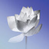 Wandbild Lotusblume, Leinwandbilder, Lotus, Lotusblume Energiebild, Harmonisierung von Raum und Mensch, feng shui bild, Wanddeko, Wandbild blau, floral, Blumenbild, Blumen, Wandbilder Thearapieräume
